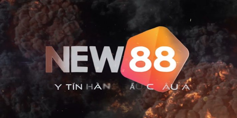 NEW88 thành công nhờ tài năng của CEO Phạm Thu Trang
